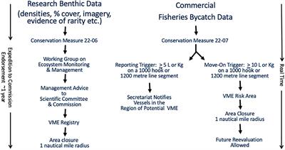 Combined Abundance of All Vulnerable Marine Ecosystem Indicator Taxa Inadequate as Sole Determiner of Vulnerability, Antarctic Peninsula